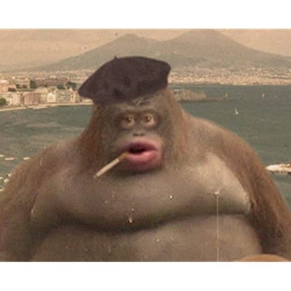 Meet your Posher, Candace - Picture 1 of 1